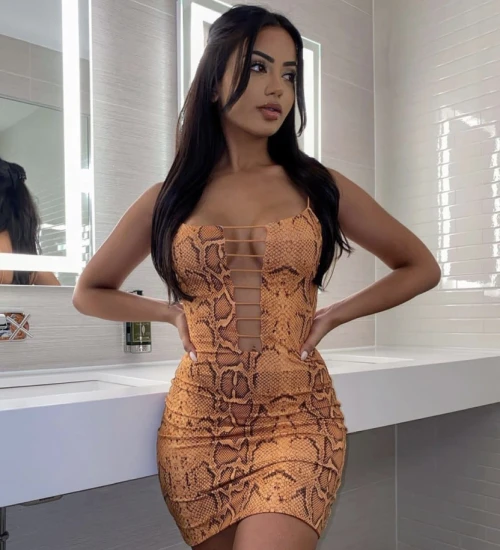 Udaipur Call Girls